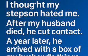 The Box of Secrets: What My Stepson Protected Me From