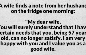 BRILLIANT WIFE