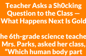 “Which human body part increases to ten times its size when stimulated?”