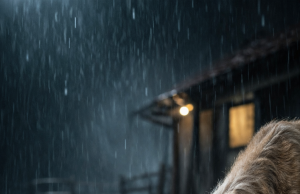 Sometimes the strongest ones fall…And it takes the weakest heart to show them what strength really means.