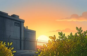 A Lab Rabbit Escaped Into Paradise. Why He Voluntarily Went Back Left Everyone Shocked.